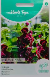 Hollyhock Chaters Deep Purple Seeds